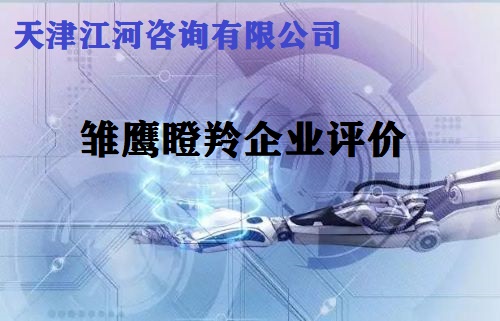 雏鹰企业评价(咨询服务)